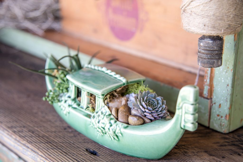 Planting Succulents For the Porch - Outdoor Extravaganza | Vinyet Etc